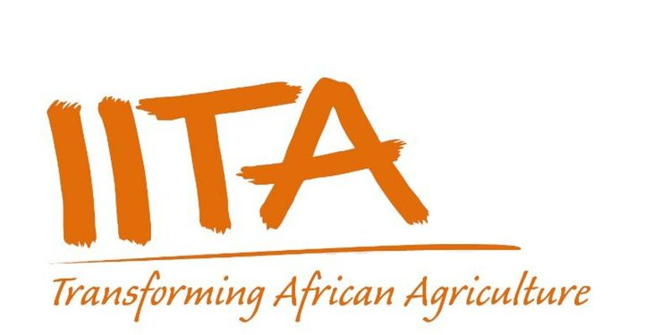 Recruitment: Apply For Massive IITA Recruitment 2023