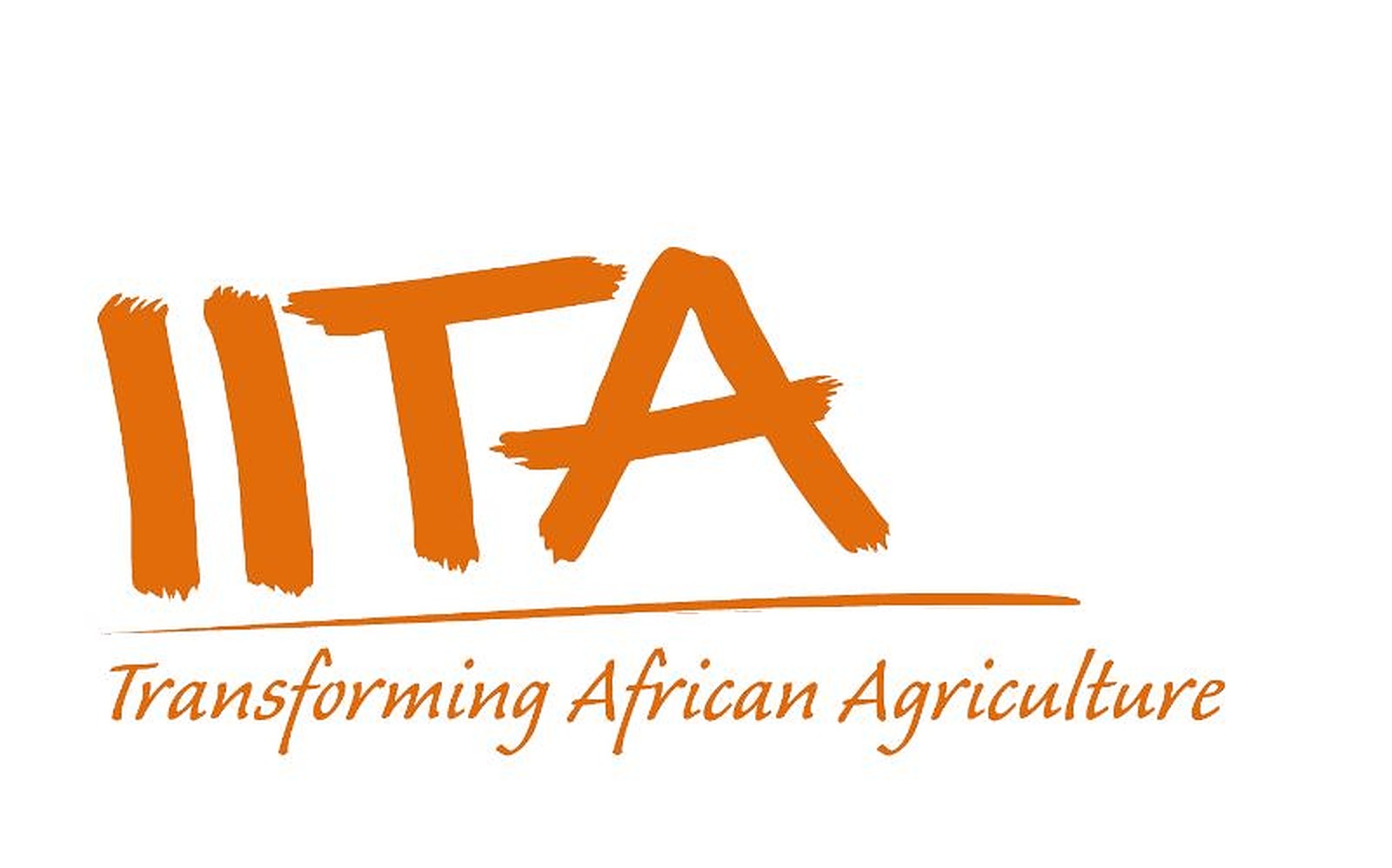 Recruitment: Apply For Massive IITA Recruitment 2023