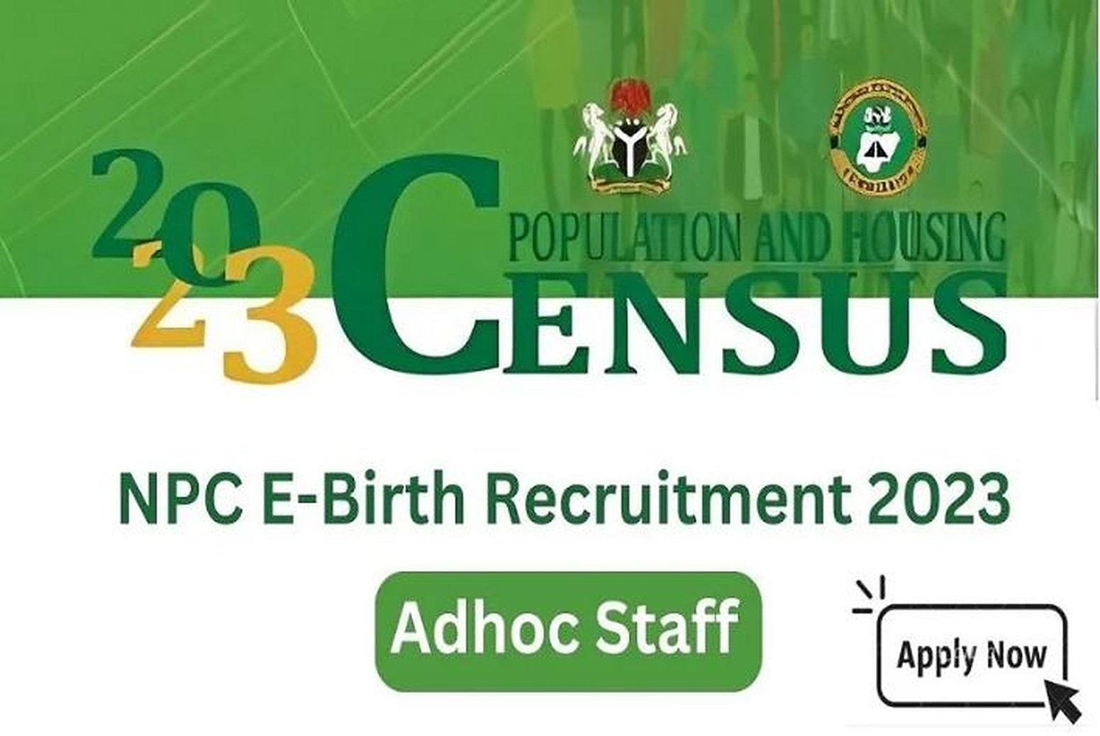 NPC E-Birth Registration ad-hoc Staff Recruitment 2023 | See Requirements & How to Apply