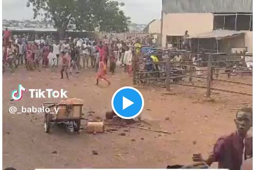 Watch Moment Mob Stoned Sokoto Butcher To Death Over Blasphemy [Video]