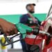 BREAKING: NNPC Increases Fuel Price From N539, See New Petrol Pump Price