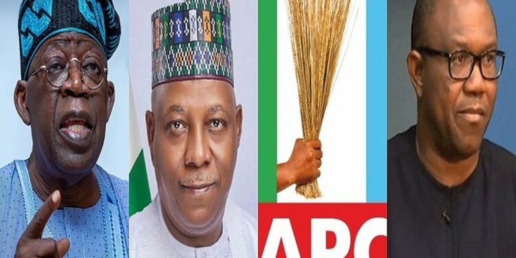 Bola Ahmed Tinubu And APC End Defence Against Peter Obi, Labour Party