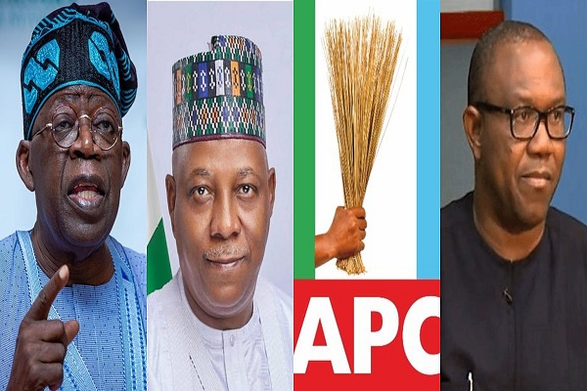 Bola Ahmed Tinubu And APC End Defence Against Peter Obi, Labour Party