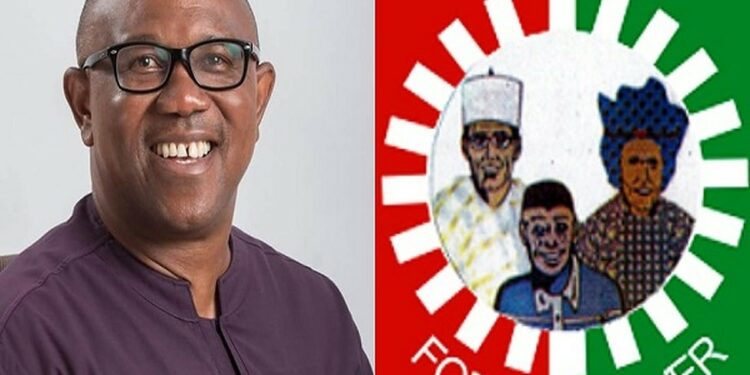 BREAKING: Fresh Crisis Hits Peter Obi's Labour Party, Treasurer Demands Account of N3.5bn