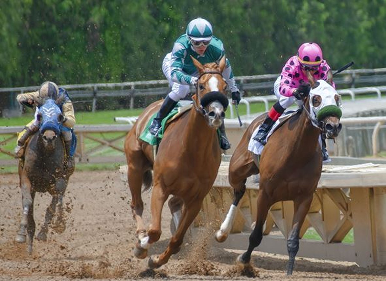 Enjoy Horse Racing at Mysore Race Course & Bangalore Turf Club