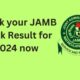 JAMB Mock Result Checker 2024: Check Your JAMB Mock Result 2024 Here