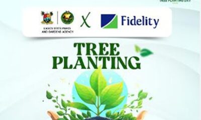 Fidelity Bank Partners Lagos State to Plant 20,000 Trees