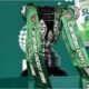 Full Carabao Cup Quarter-Final Fixtures Confirmed