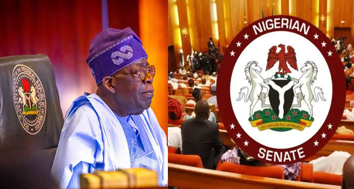 President Tinubu Urges Senate to Approve N1.7trn 2025 FCT Budget