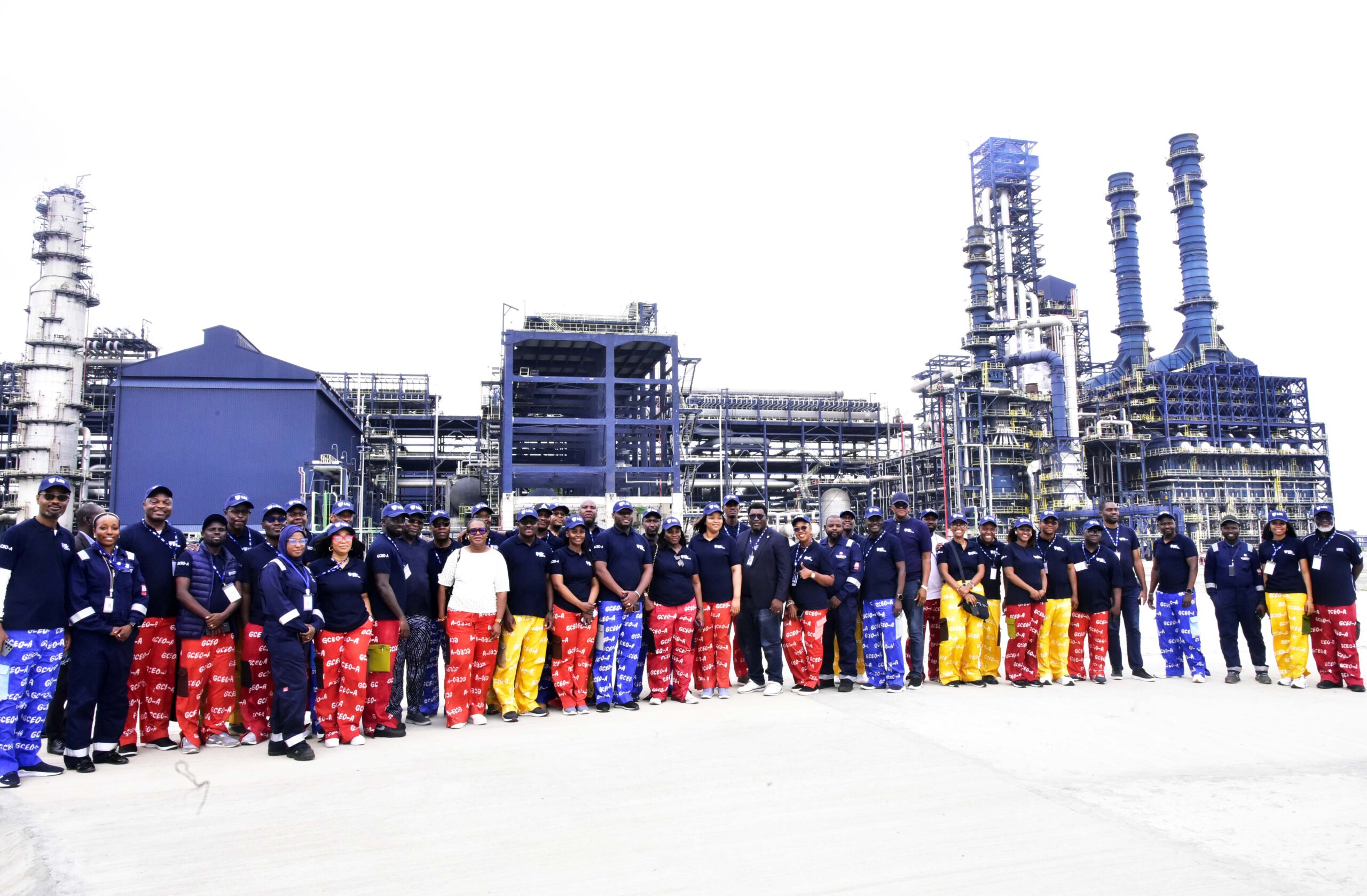 Africans Will Develop Africa, Dangote Tells Global CEOs