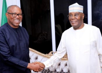 2027 Election: Peter Obi Speaks On Running With Atiku [Video]