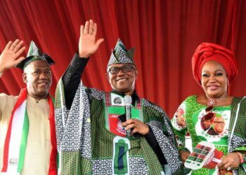 2027 Election: What I Want Peter Obi To Do - Datti Baba-Ahmed