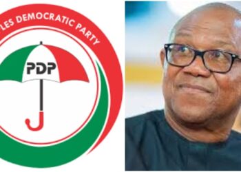 Top Northern Governor Begs Peter Obi, Says 'Please Come Back to PDP'