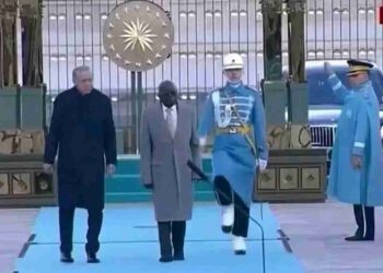 President Tinubu Falls During Ceremonial Parade in Turkey [Video]