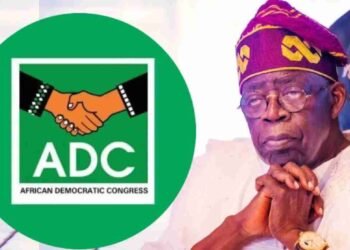 Tinubu Shielding APC Members, Targeting Opposition - ADC Chieftain