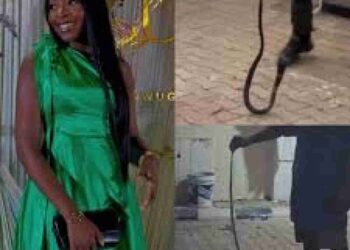 Nanyah Death: Herbalist Who Survived 3 Snake Bites Reveals What To Do If Bitten By Snake