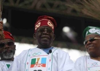 APC Under The Leadership of Every State Governor - President Tinubu