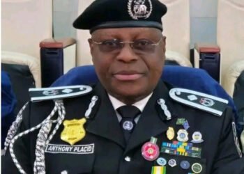 IGP Disu Appoints DCP Anthony Okon Placid As Police Spokesman