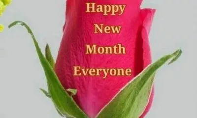 100+ Happy New Month Messages For February Wishes