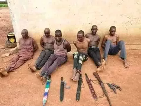 Fulani Terrorists Terrorising Southern Kaduna Arrested, Weapons Recovered (Photos)