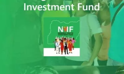 FG Grant : NYIF Allocates 250-500 Thousand Grants For These Nigerians