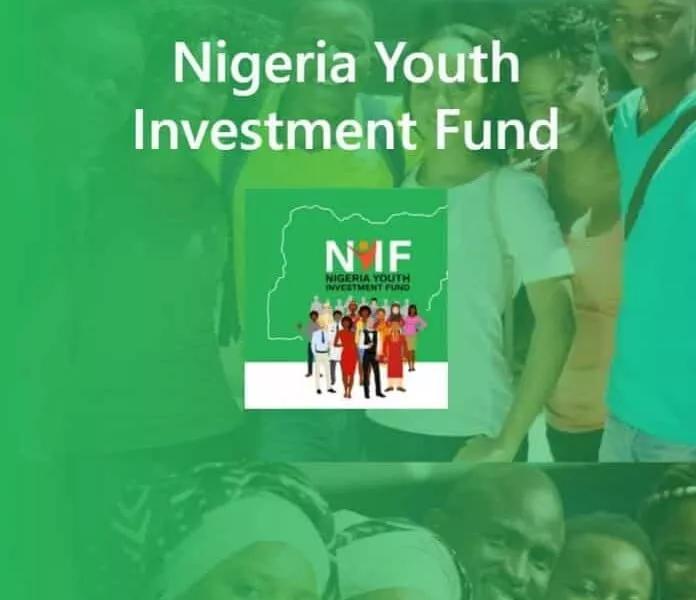 FG Grant : NYIF Allocates 250-500 Thousand Grants For These Nigerians