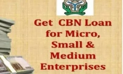 CBN N1bn Collateral Free Loan: See Where To Pick Forms Across Nigeria