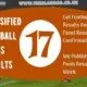 Football Pool Results: See Week 17 Pool Result 2023