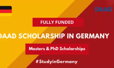 List Of Best International Scholarships In Germany 2023| Direct Links To Apply