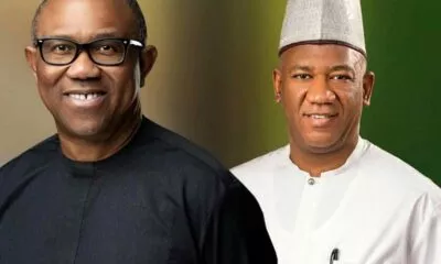 FULL LIST: See Peter Obi Campaign Council List For 2023 Election