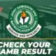 JAMB Result Checker Portal Login: Is April 25 JAMB Result Out? Check JAMB Result 2023