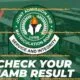 BREAKING: JAMB Result Day Four Is Out: Check JAMB Result 2023 Online Here