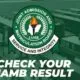 JAMB Result Checker Portal Login: How To Check JAMB Result on JAMB Result Checker